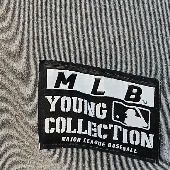 MLB Young Collection Sweatshirt Flying Player Size Medium Gray - Picture 2 of 6